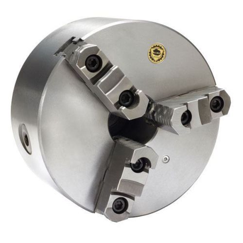 Bison universal with threaded back chuck - chuck size: 8&#039;&#039; for sale