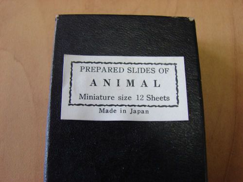 Japanese Prepared Slides of ANIMAL (12 Miniature Size Slides)