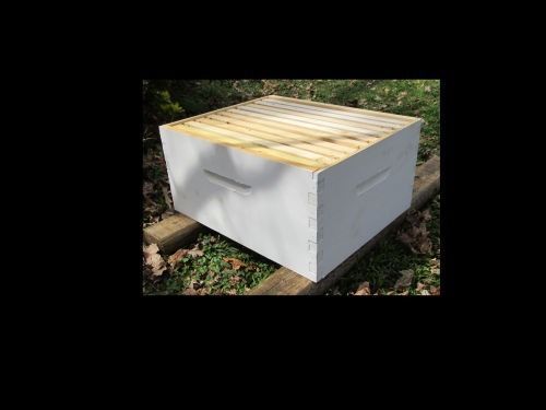 Bee Hive - Deep Super - Complete with Frames &amp; Foundation - Assembled &amp; Painted