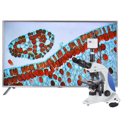 40x-1000x plan infinity kohler laboratory research microscope with 1080p hdmi ca for sale