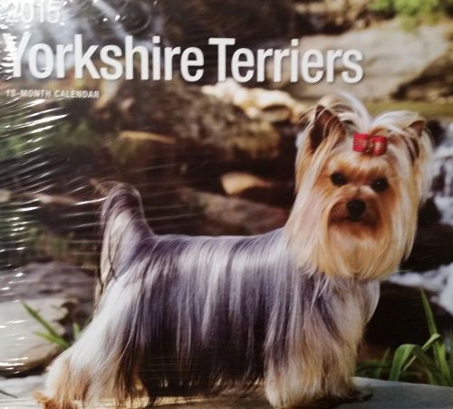 18-Month 2015 YORKSHIRE TERRIERS 12x12 Wall Calendar NEW Cute Dogs &amp; Puppies