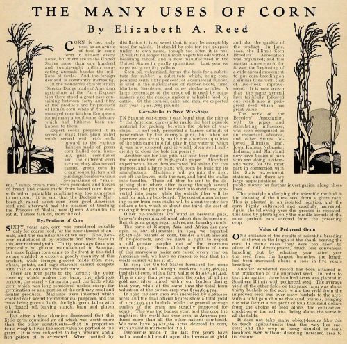 1906 Article Many Uses of Corn Elizabeth A Reed Warship - ORIGINAL SUN1