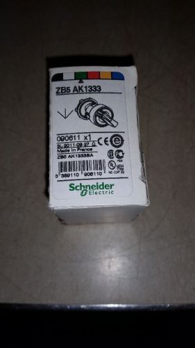 SCHNEIDER ELECTRIC ZB5AK1333 Illum Selector Switch