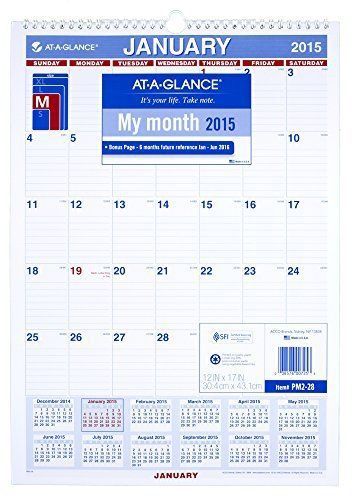 AT-A-GLANCE Monthly Wall Calendar 2015, Wirebound, 12 x 17 Inch Page Size (PM2-2