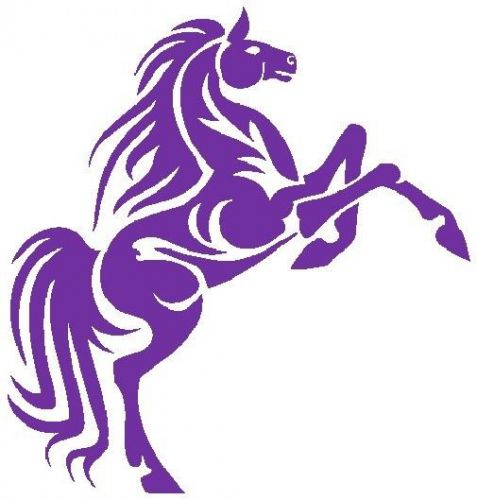 30 Custom Purple Horse Personalized Address Labels