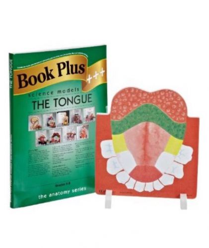 NEW Book Plus Tongue Foam Model  10&#034; x 14&#034; Size