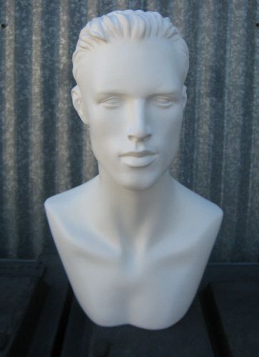 LESS THAN PERFECT MN-513 White Male Mannequin Head Display Form