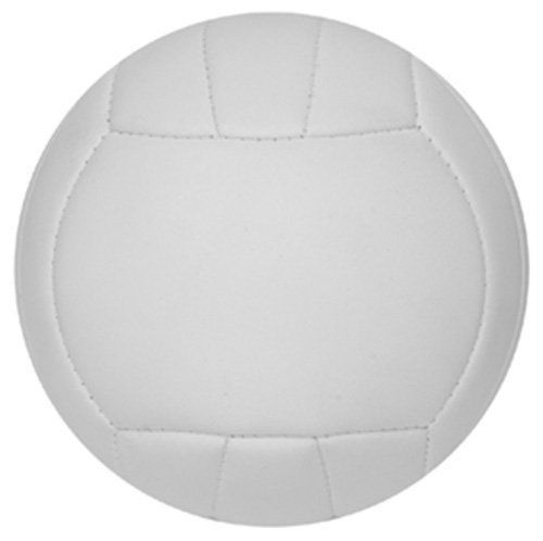 NEW Baden Mini Size Autograph Volleyball