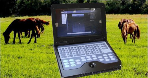 HOT VET Veterinary Digital Ultrasound Scanner Machine+7.5mhz Rectal Linear probe