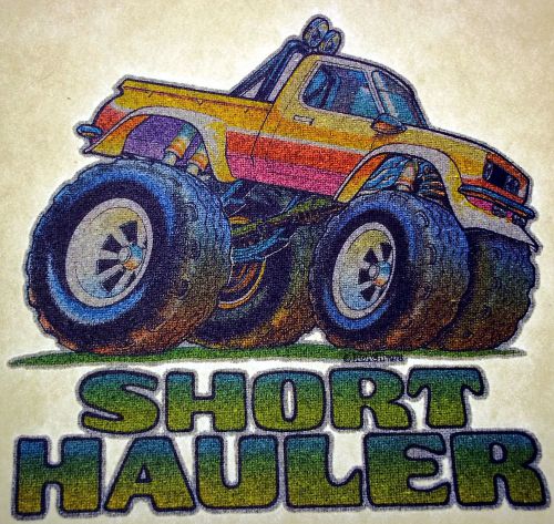 Short Hauler Small truck glitter Vintage 70&#039;s Roach T-Shirt transfer