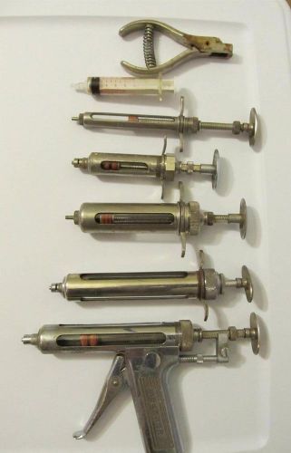 Vintage veterinarian hypodermic syringes lot vet veterinary syringe farm lg anim for sale