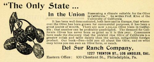 1898 Ad Del Sur Ranch L. A. California Olive Orchard - ORIGINAL ADVERTISING LOS1