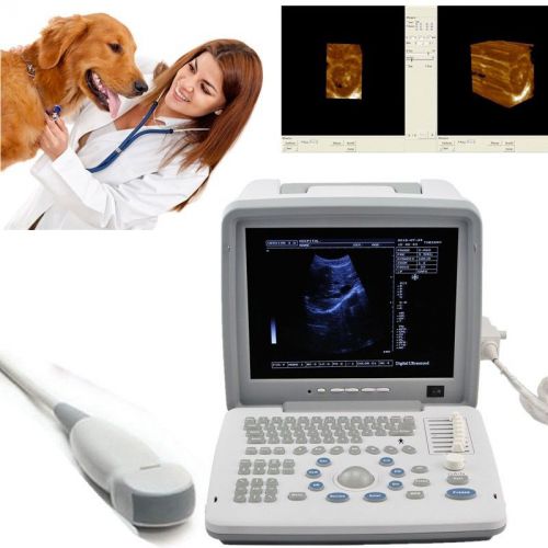 LCD Portable Digital Ultrasound Scanner 5.0MHz Micro-Convex Probe 3D Veterinary