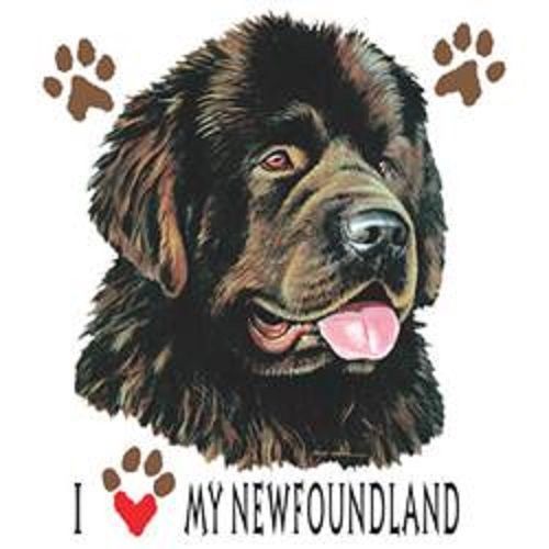 I Love My Newfoundland Dog HEAT PRESS TRANSFER for T Shirt Sweatshirt Tote 881c