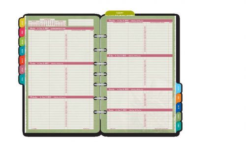 2015 Flavia Day Timer 2-page-per-week Refill