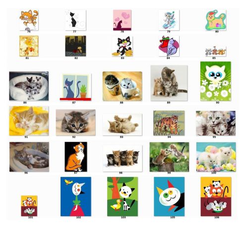 30 Personalized Return Address Labels Cats. choose one picture {c3}