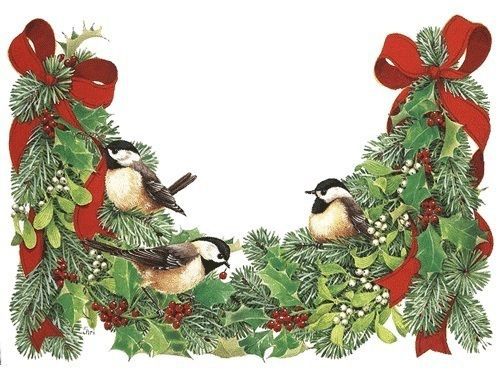 30 Personalized Return Address Labels Christmas Birds Buy 3 get 1 free (zz8)