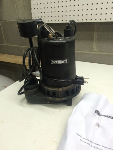 Everbilt 1 HP Professional Sump Pump