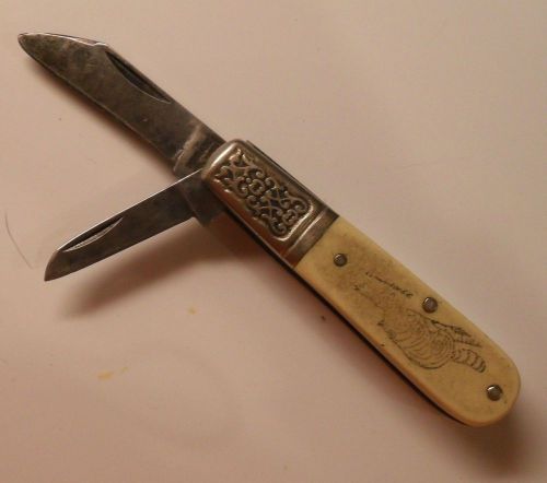 Vinatge 79 1979 SCHRADE S.C.C. USA SC506 BARLOW SCRIMSHAW RACCOON POCKET KNIFE