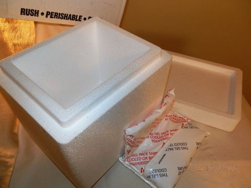 STYROFOAM INSULATED SHIPPING CONTAINER COOLER 11 X 11 X 9 WITH ICE PACK VGUC!