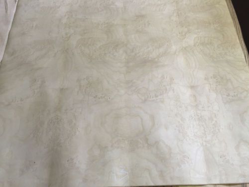 Wood Veneer Royal Ash Burl 41x55 1Pcs Total 10Mil Paper Backed &#034;EXOTIC&#034; BBOX A3