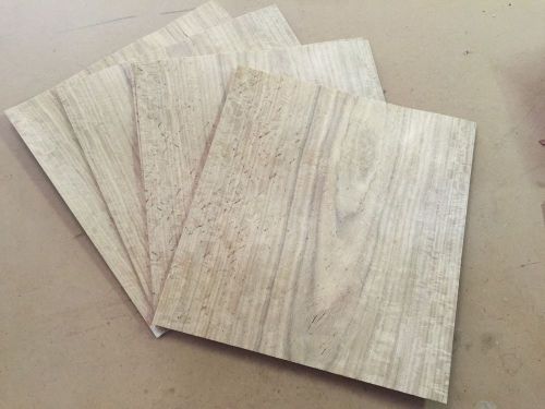 Wood Veneer Satin Wood 10x11 6Pcs Total Raw Veneer &#034;EXOTIC&#034; SAT1 9-3-15