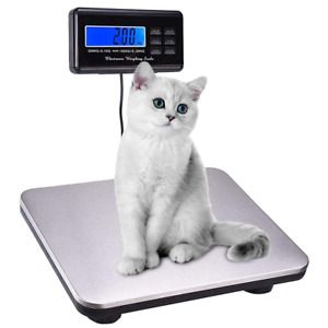 Paddie Shipping Scale 660lbs LCD Digital Platform Heavy Duty Portable Stainless