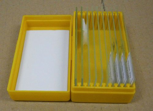 Brunel 10 slide set and box.  (4 prepared slides and 6 blank slides)