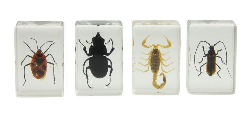 New celestron 44407 3d bug specimen kit #1 (black, brown, yellow) for sale