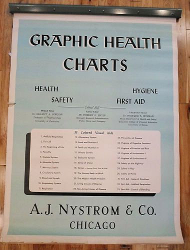 Rare, 33 vintage a.j. nystrum &#034;graphic health charts&#034; - body/outdoor safety/life for sale