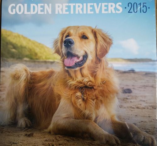 16-Month 2015 GOLDEN RETRIEVERS 12x12 Wall Calendar NEW Dogs Cute Animals