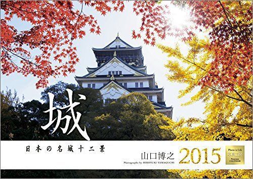 Japanese Castles  2015 a wall-hanging type free shipping    (1011)