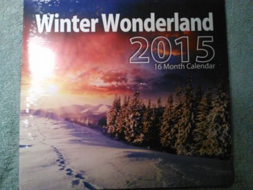 New Winter Wonderland 16 Month Calendar 2015 Office work job home 11&#034;X 12&#034;