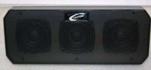 Califone Pi39 Wireless And Powered Whiteboard Array Speaker - 800097898