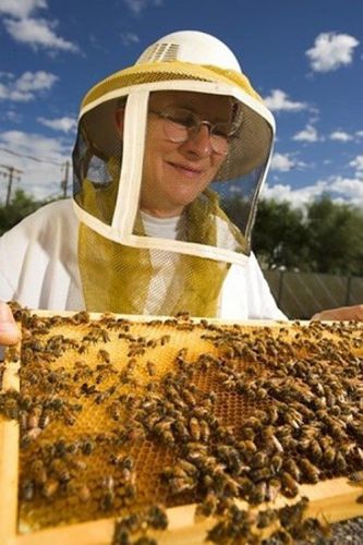 Over 100 Beekeeping Books and Guides on 1 CD
