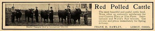 1906 Ad Premier Champion Herd Red Polled Cattle Breed - ORIGINAL ADVERTISING CL9