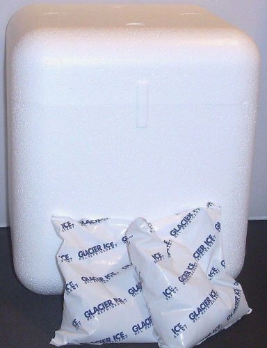 Propak Styrofoam Thick Insulated Shipping Cooler &amp; 2 Ice Packs 10.5 X 10 X 12