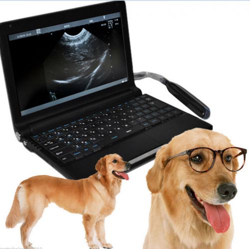Ca veterinary laptop b ultrasound scanner/machine rectal probe b ultrasonic aa for sale
