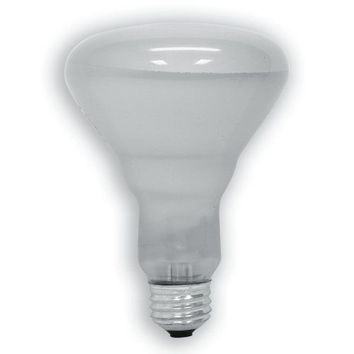 GE 20331-6-6 65 Watt Soft White Floodlight BR30 Light Bulb, 6-Pack New