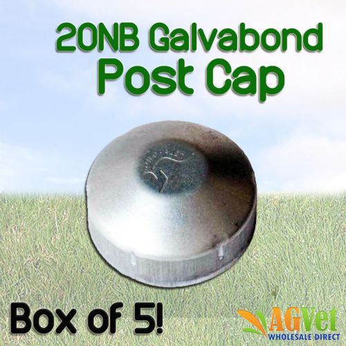 Fence Galvabond Post Cap 20NB Round Tube End (PCR20-B5)
