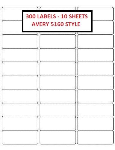 300 BLANK 1&#034;x 2-5/8&#034; White Mailing Address Laser Labels - Ready For Your Printer