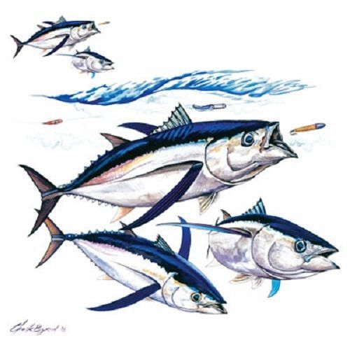 Albacore Tuna Fish HEAT PRESS TRANSFER for T Shirt Tote Sweatshirt Fabric 248k