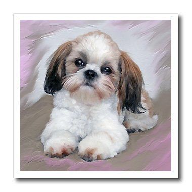 3dRose ht_4807_2 Shih Tzu Puppy Iron on Heat Transfer White Material 6 by 6 Inch
