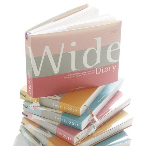 Wide Diary 2017 (Dated) Diary Planner 12 Monthly 53 Weekly Plans 5.9 x 4.3&#034;