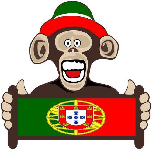 30 Custom Portugese Monkey Personalized Address Labels