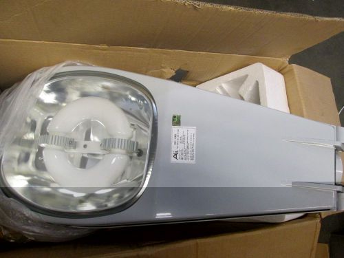 AGL CH1-100E FOR INDUCTION LAMP RT 100W ALL GREEN LIGHTING ()