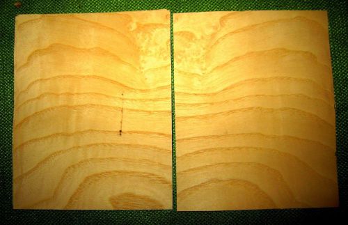 5 leafs Wormy Ash @ 6 x 4-7/8 Craft wood Veneer (v1104)