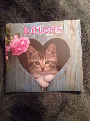 2015 Kitten Calendar