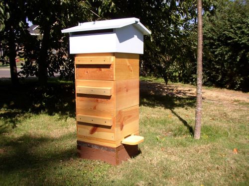 Bee hive warre bee friendly beehives for sale