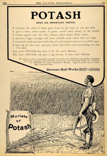 1907 ad potash german kali works grain wheat harvest - original advertising cg2 for sale